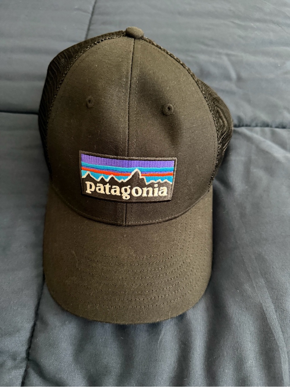 Patagonia Black Mesh Trucker Hat with Multicolor Logo